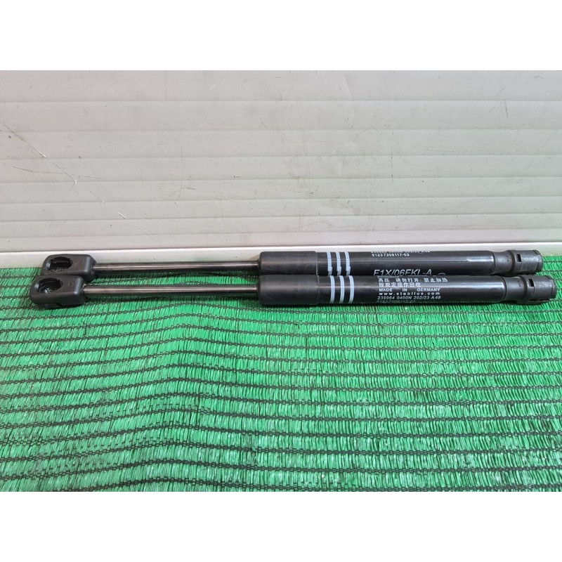 Recambio de amortiguadores capo para bmw 5 (f10) 525 d xdrive referencia OEM IAM   