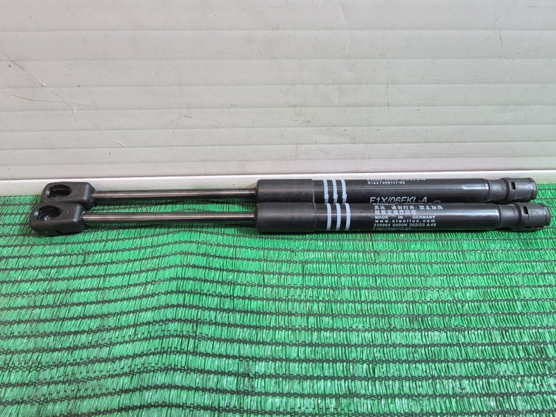 Recambio de amortiguadores capo para bmw 5 (f10) 525 d xdrive referencia OEM IAM   