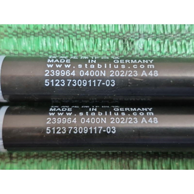 Recambio de amortiguadores capo para bmw 5 (f10) 525 d xdrive referencia OEM IAM   